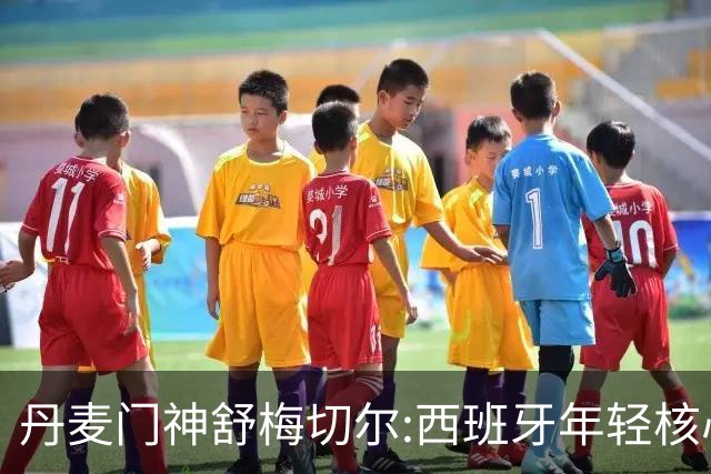 丹麦门神舒梅切尔:西班牙年轻核心群让他们“长期危险”