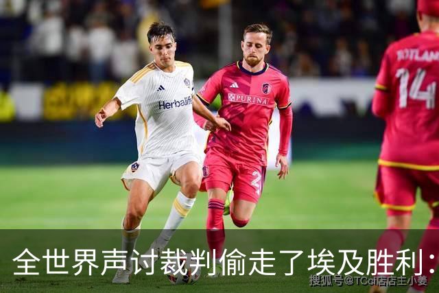 全世界声讨裁判偷走了埃及胜利：阿根廷名宿承认萨拉赫点球被无视