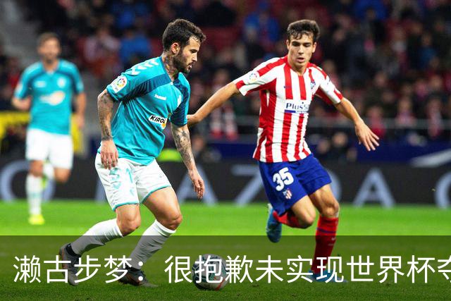 濑古步梦：很抱歉未实现世界杯夺冠的目标，但日本足球会继续向前