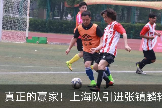 真正的赢家！上海队引进张镇麟转会费曝光，夺冠后总营收正式出炉