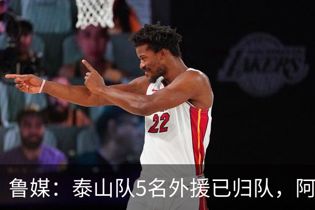 鲁媒：泰山队5名外援已归队，阿尔瓦罗6月份复出难度比较大